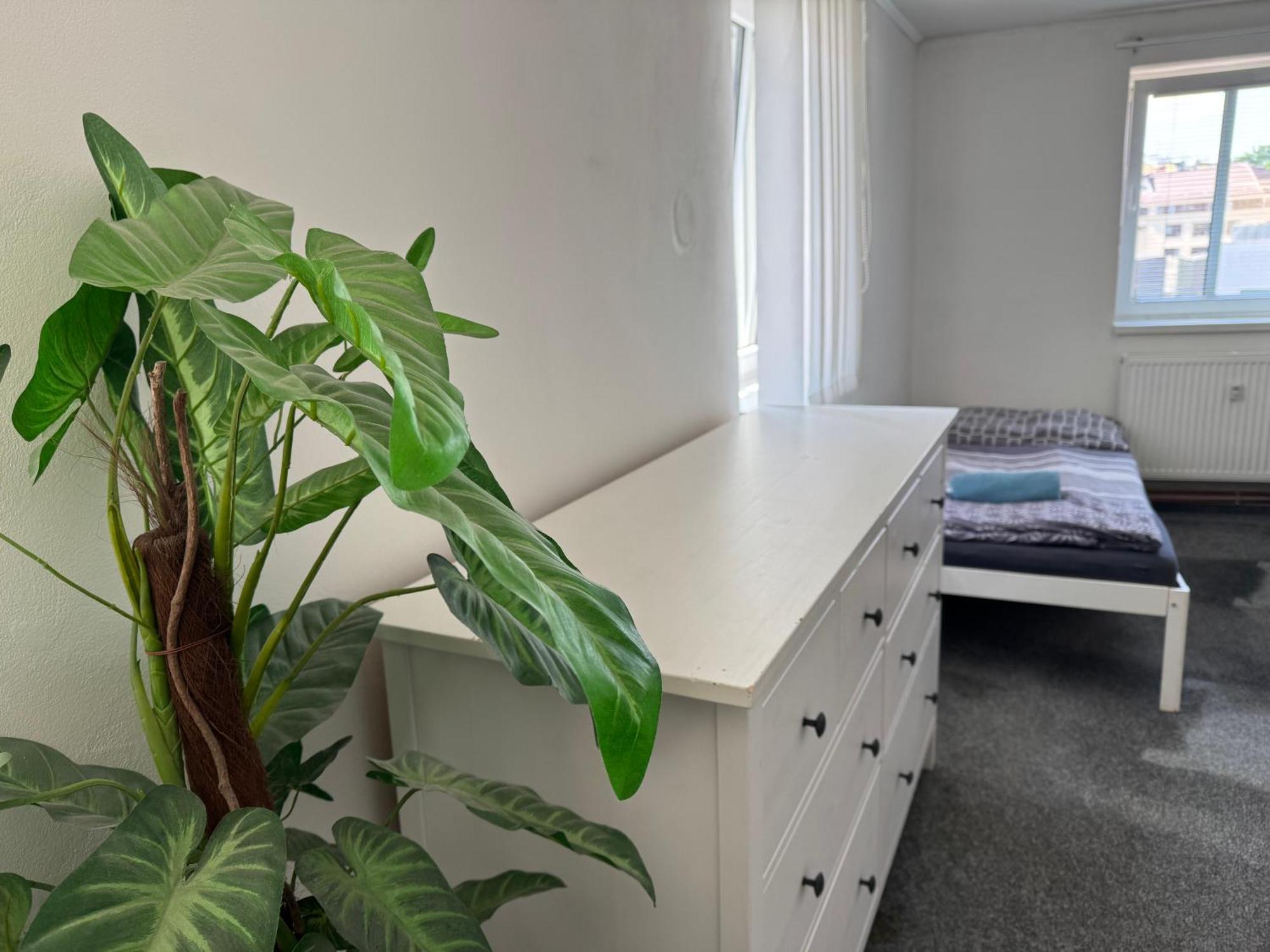 Old Town Apartments R11 Olomouc Bagian luar foto